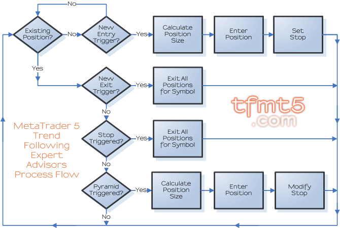 TFmt5 System Process Flow